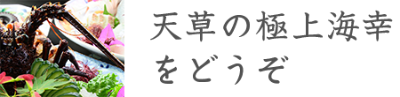 天草の極上海幸をどうぞ